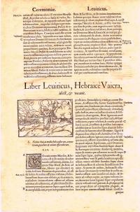 1561 Latin Vulgate